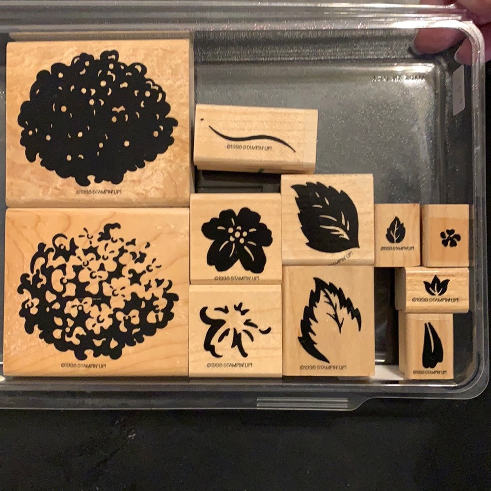 💚Stampin’ Up! Hydrangea Stamps